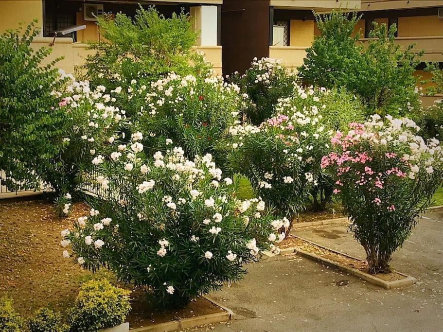 Apartment With Private Parking - Roma Est. Lunghezza Экстерьер фото